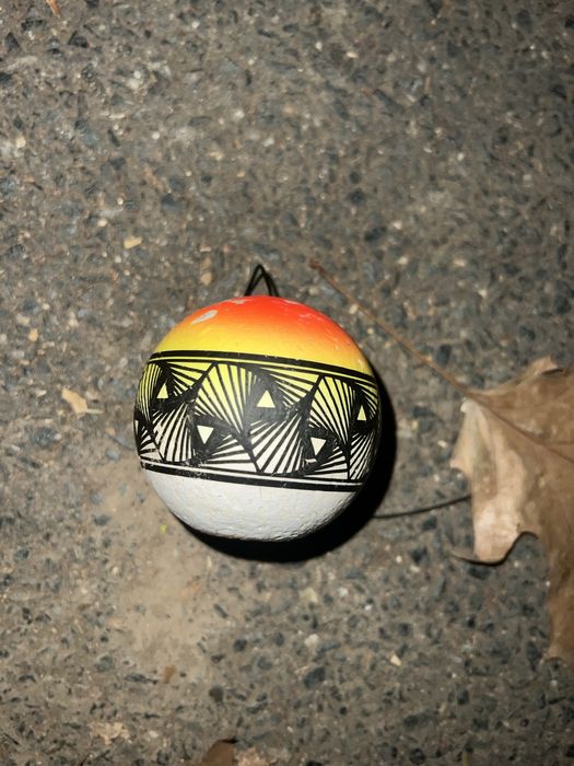 Tama israel rihno clear