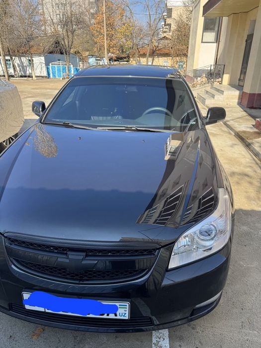 Мошина идиал состоянияда орқа крилода  петно бор