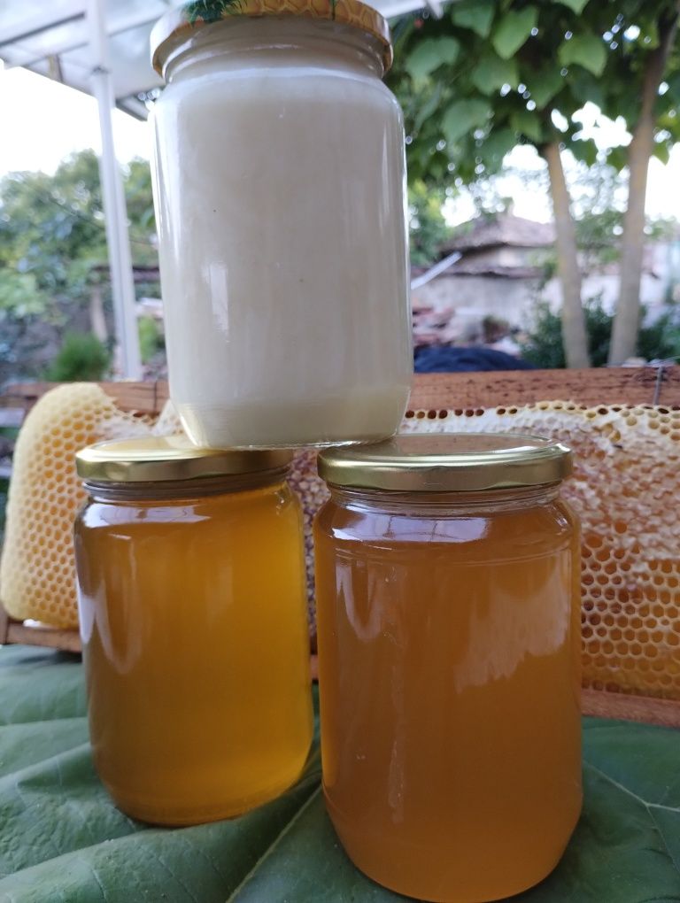Домашен пчелен мед 2023
