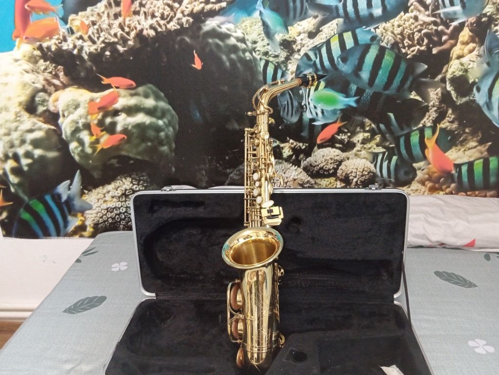 Saxofon PAROT utilizat