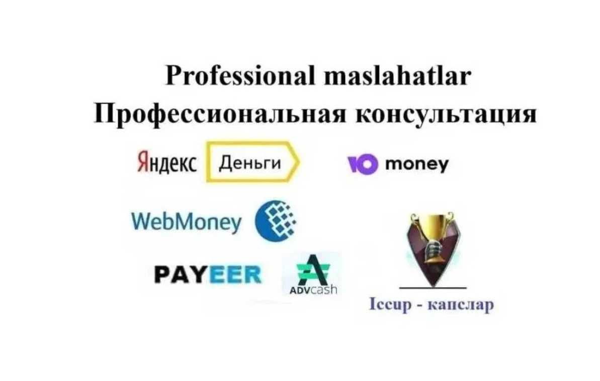 Professional maslahatlar Webmoney, консультация по Вебмани