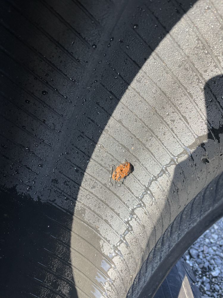205/55/16 BRIDGESTONE 2бр. 6мм