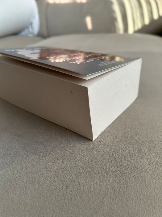 Regatul flacarilor argintii