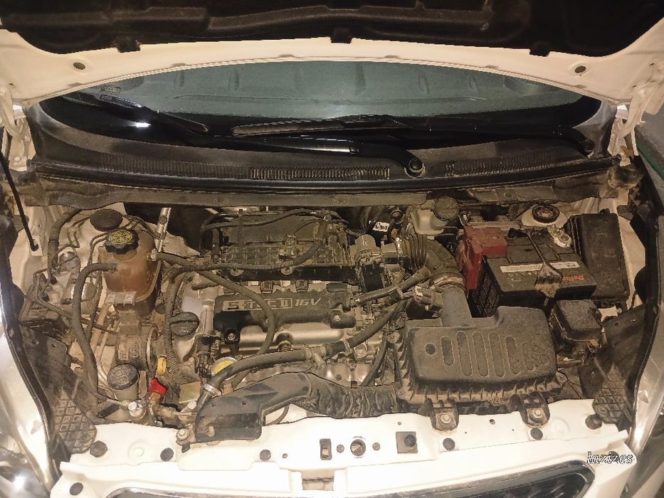 Spark sotladi 2021 oq