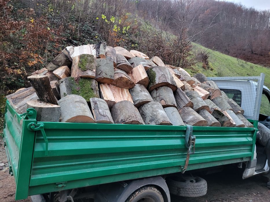 Lemne de foc Fag-Carpen