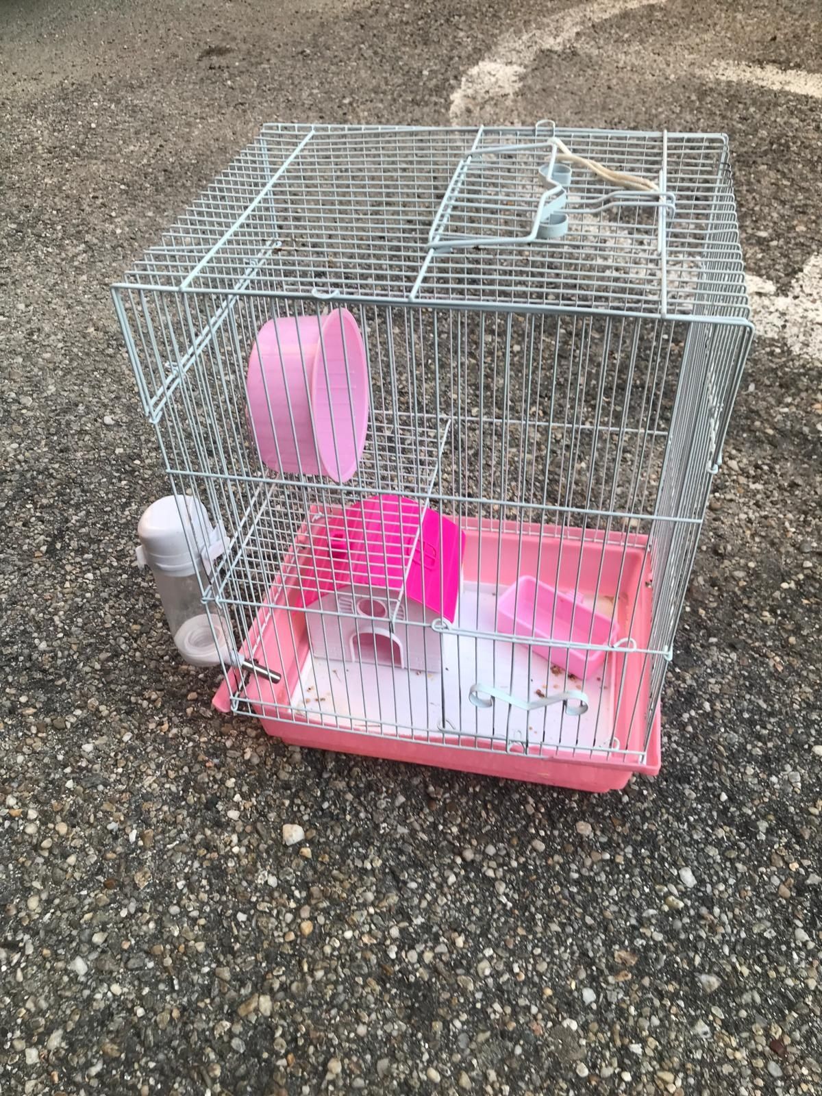 Cusca pentru hamsteri