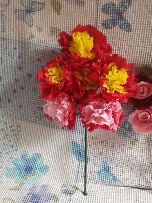 Sorcove diverse culori