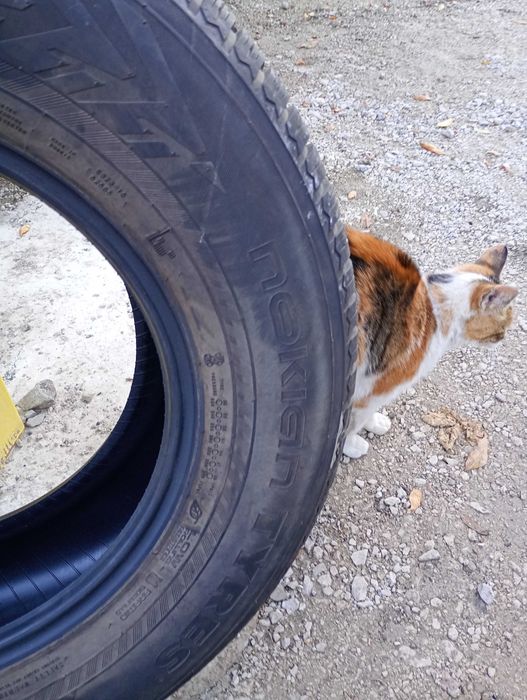 Зимни гуми Nokian Tyres wr suv4 245/70 R16 перфектни до август догодин