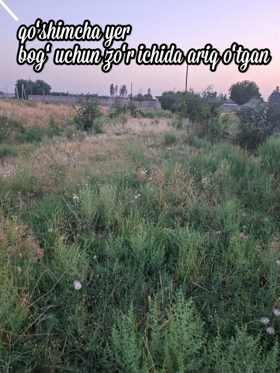 Uy joy ferma qilsayam boʻladi