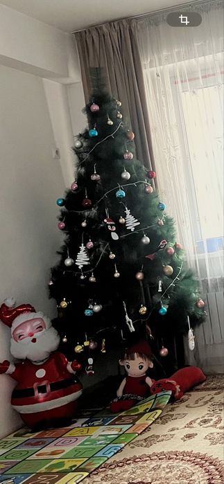 Продам красивую елку