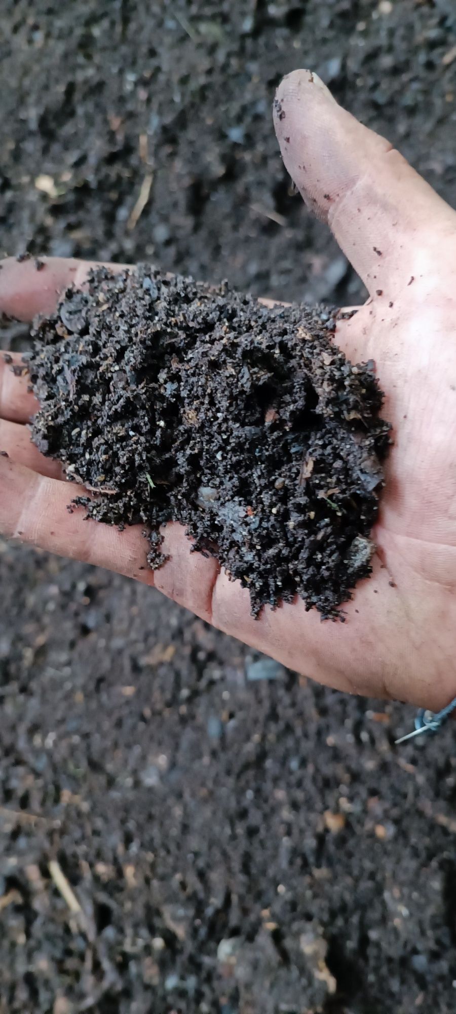 Râme de compost, ferma de râme, explicit pentru compostare