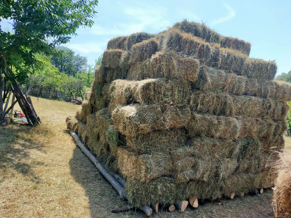 Vând 300 de baloți de fân producție proprieie!