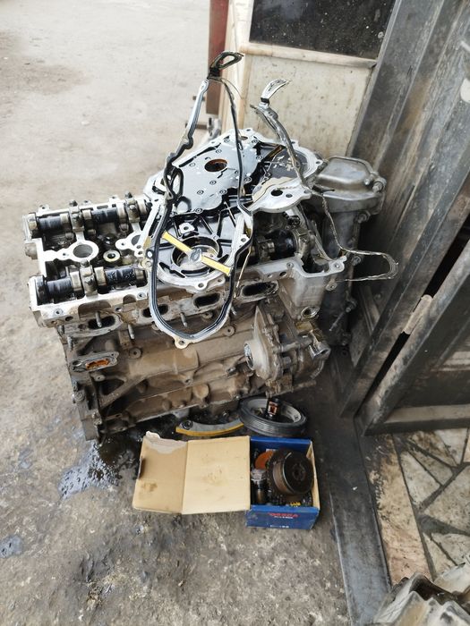 Malibu1 Mator galovka vanus sep