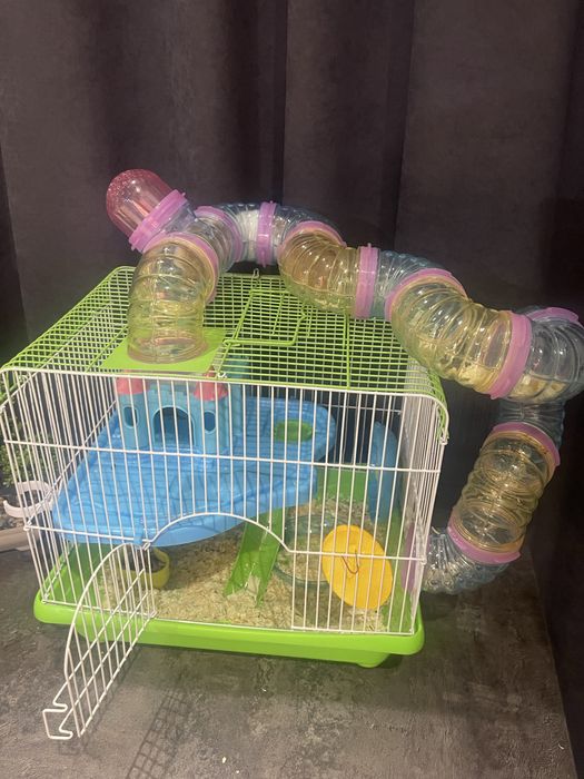 Продам хамеков с домиком