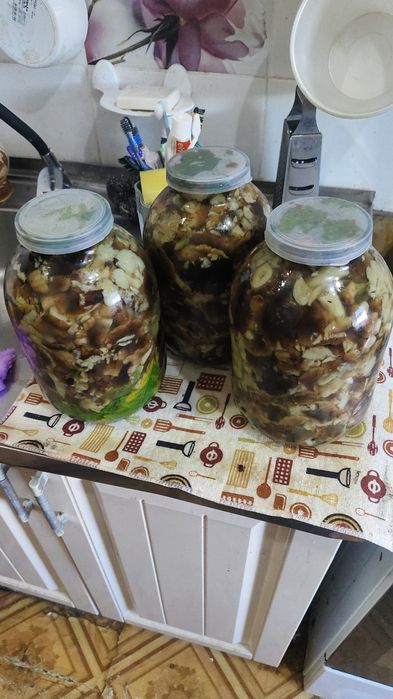 Продам соленые грибы