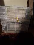 Cusca hamsteri 44 ×26×53.5 cm