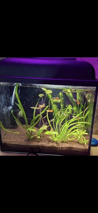 Аквариум 15 литров