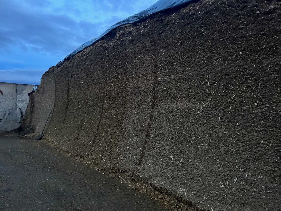 Vand Siloz pentru animale productie 2024