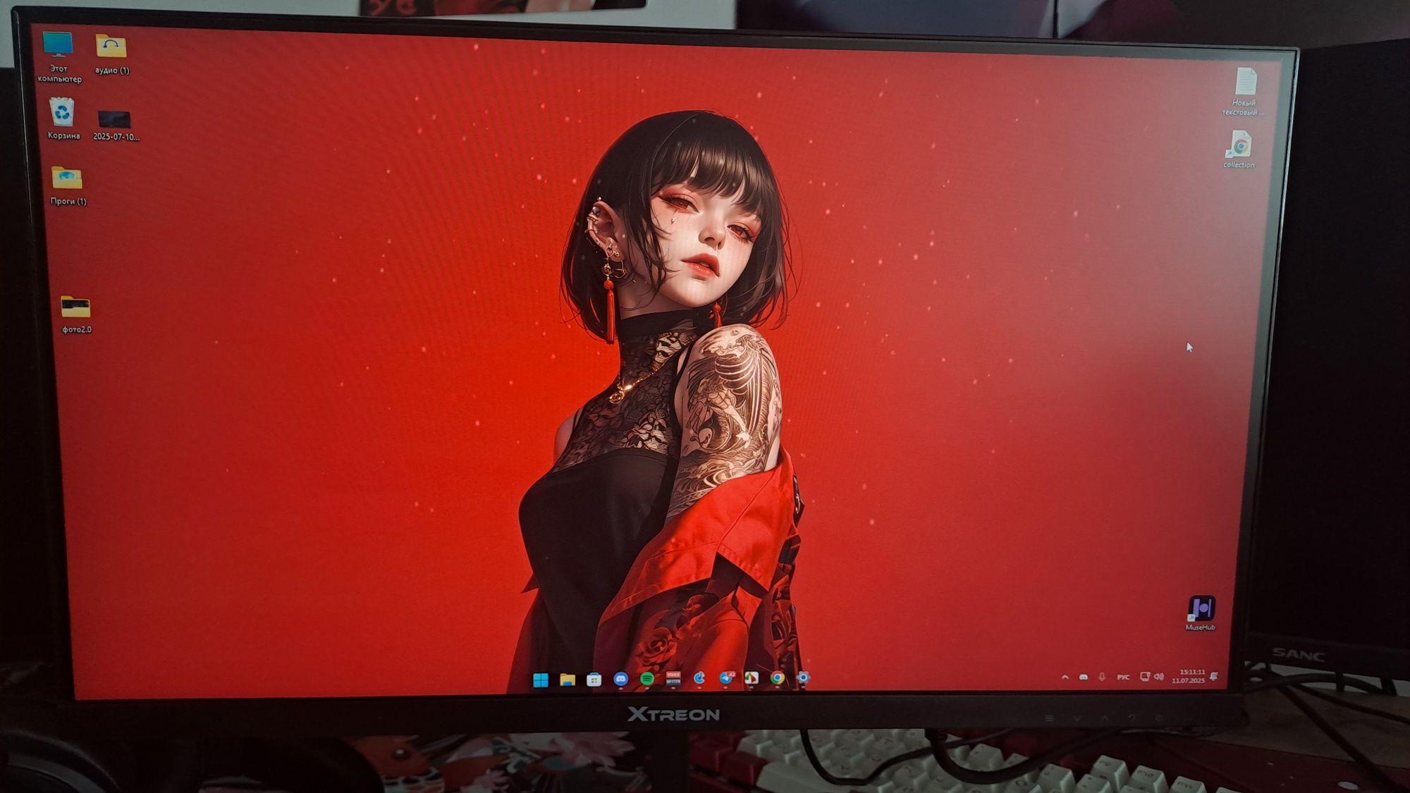 Монитор XTREON XT2253DE