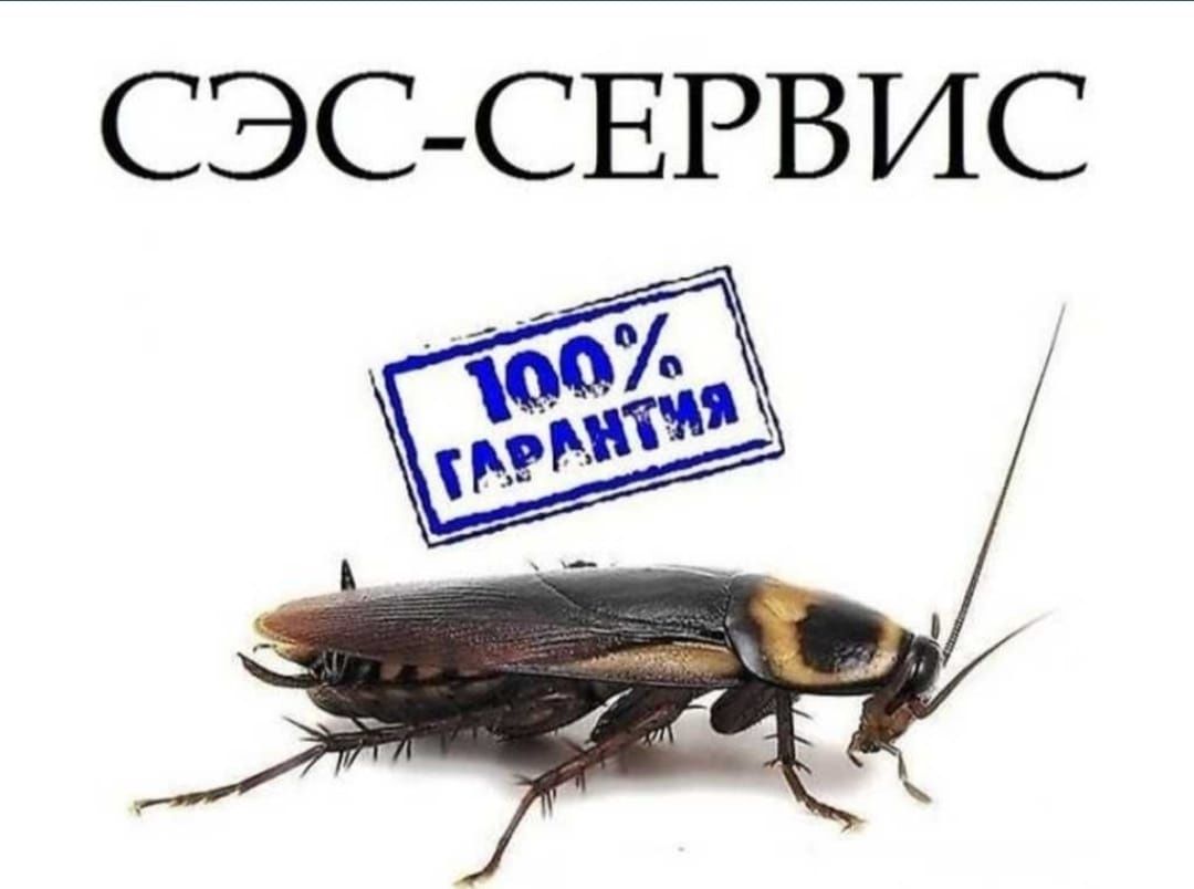 Уничтожение Клапов и Тараканов