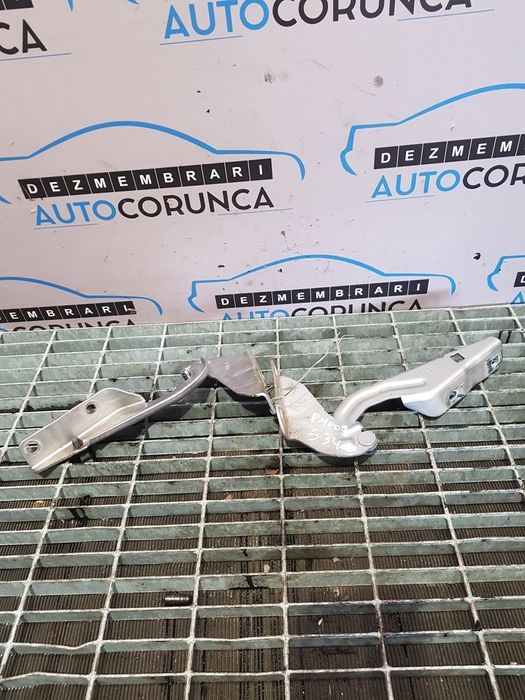 Balamale Capota Peugeot 4007 2007 - 2012 Argintiu (534)