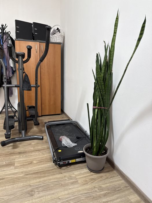 Беговая дорожка бу