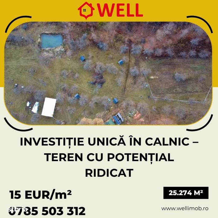 Teren extravilan de 25.274 m² de vânzare în Calnic, lângă pădure!