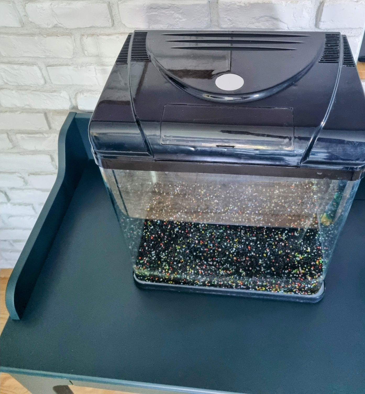 Acvariu margini rotunjite + accesorii