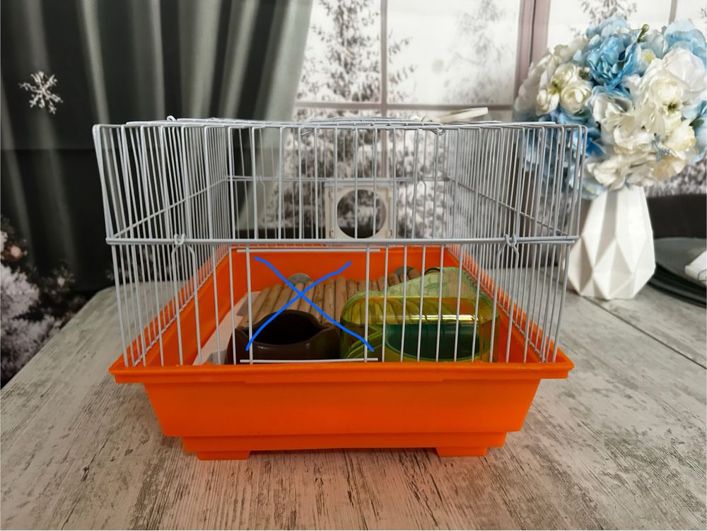 Cusca hamster pitic