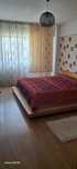 Apartament cu o camera Hala Centrala