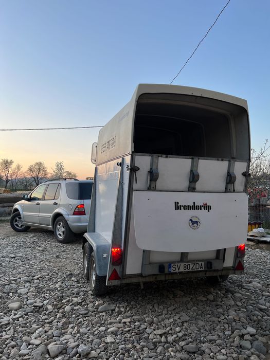Remorca transport cai cu 2 locuri