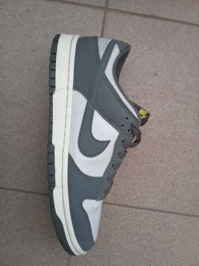 Nike dunk low next nature