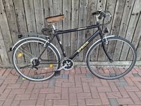 Bicicleta trekking Spick