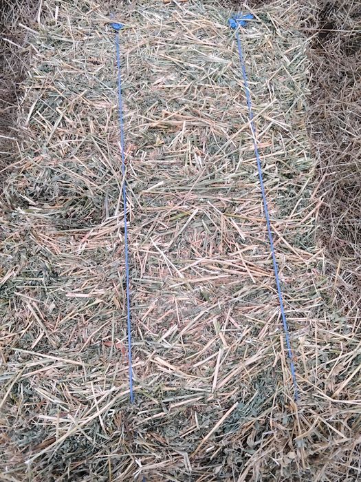 Vând baloti lucerna