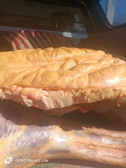 Семіз жылқының еті