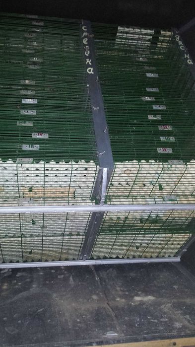 Инкубатор + люпилен шкаф