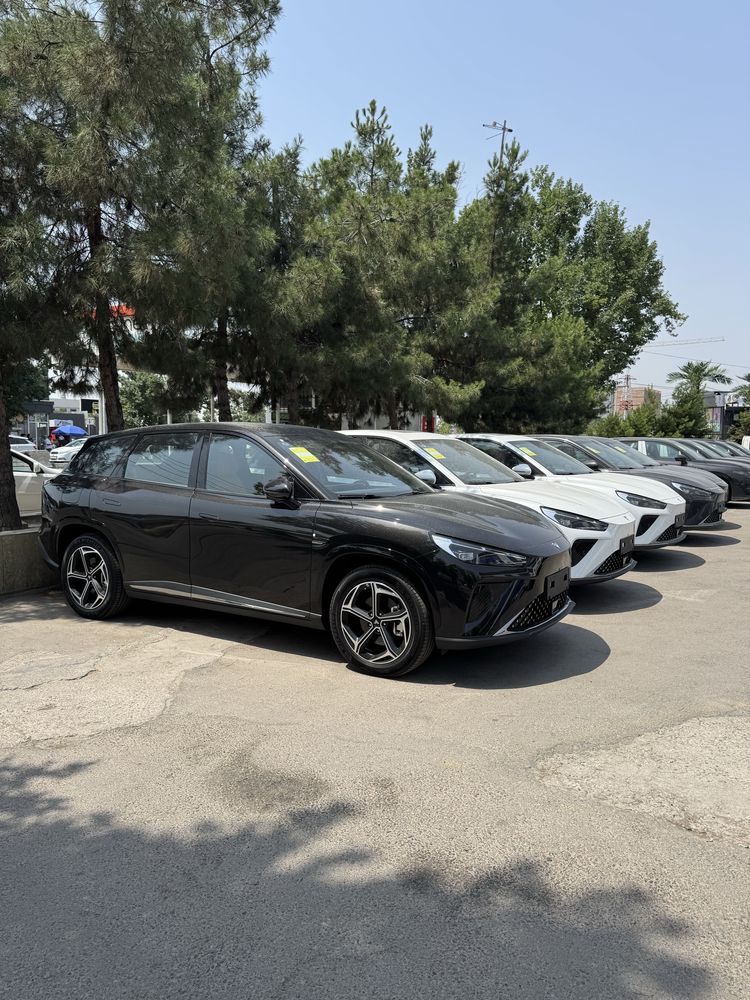 Hozon Neta L 310KM Gibrid Full