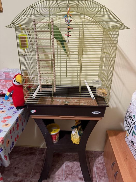 Micul Alexandru + Colivie