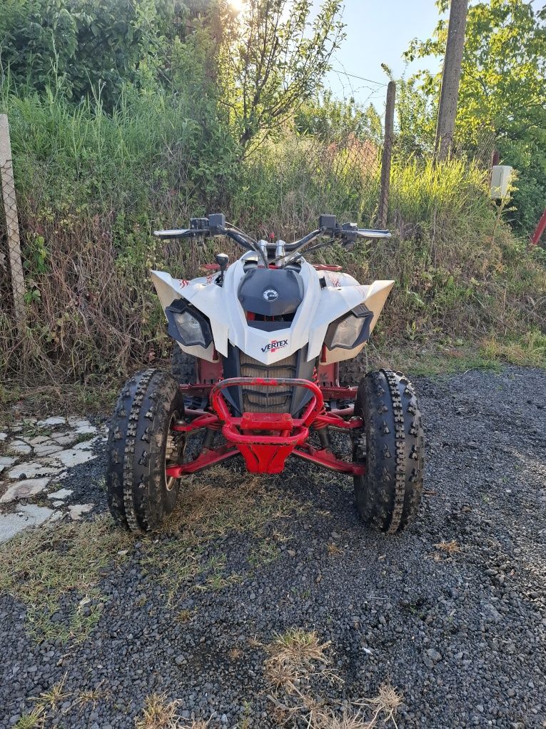 Can-Am DS 250 2009