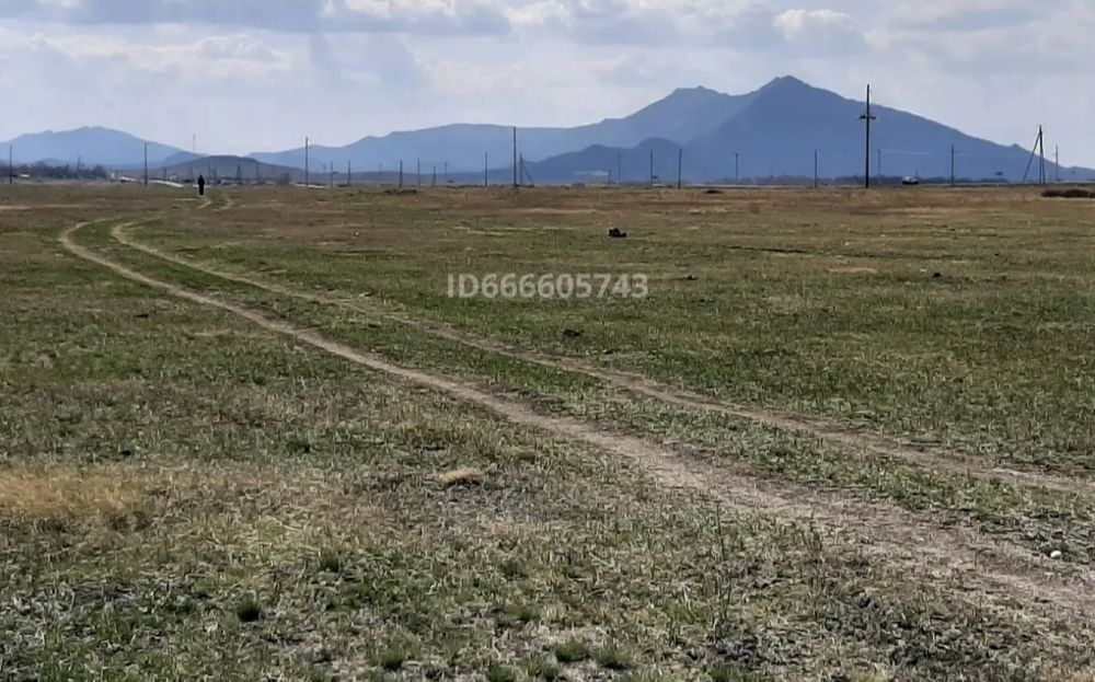 Продам земельный участок на дачном  массиве в селе Зелёный бор