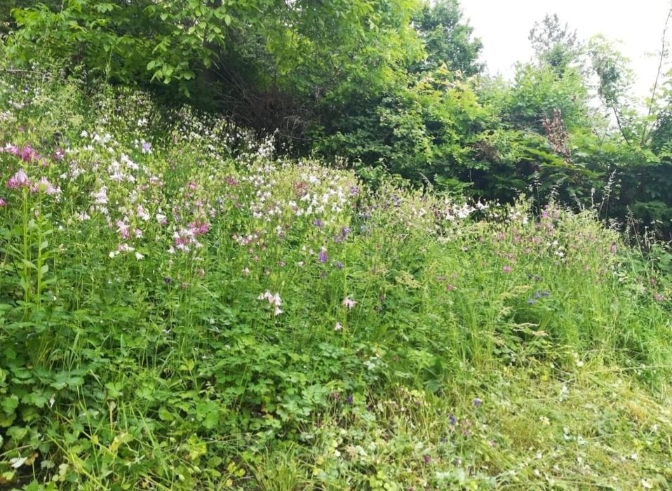 Teren Piatra Neamt 1357 mp