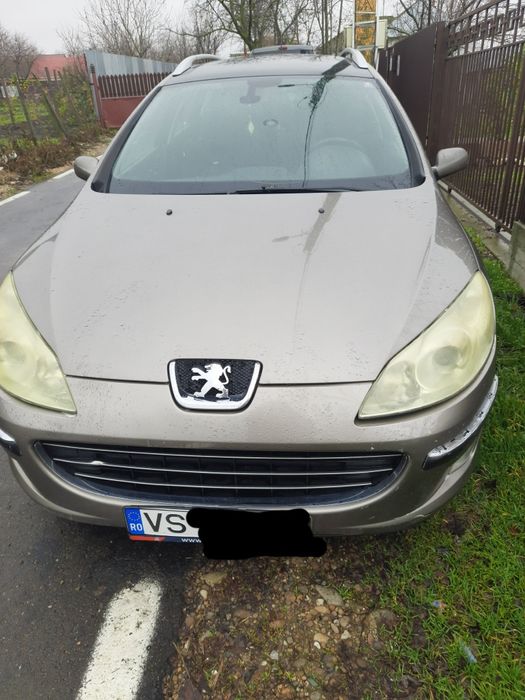 Peugeot      407