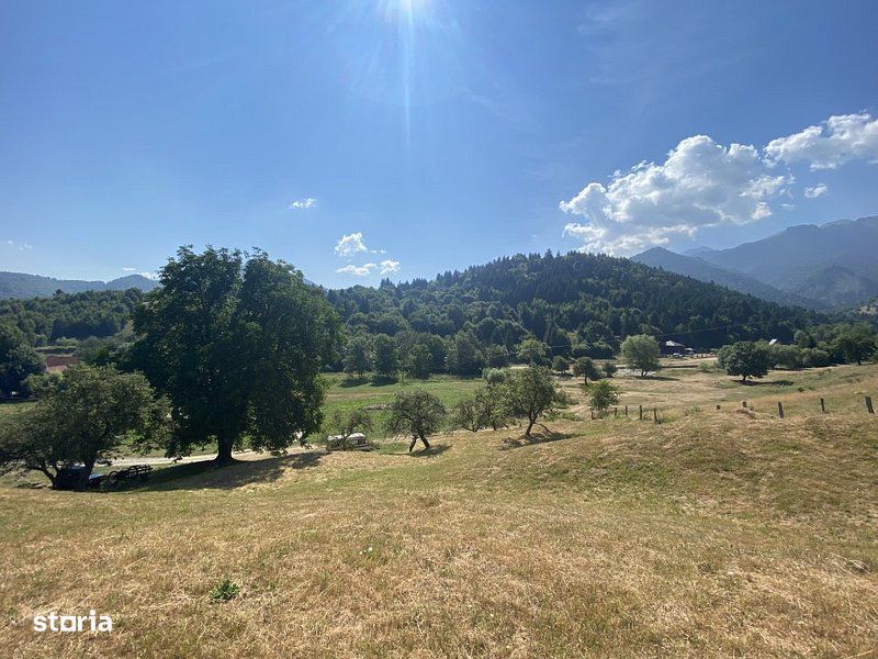 Teren extravilan de vânzare în Râșnov | 6.070 mp | Vedere panoramică