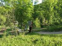Casă+ Teren de 2 hectare Rîmeț,jud.Alba
