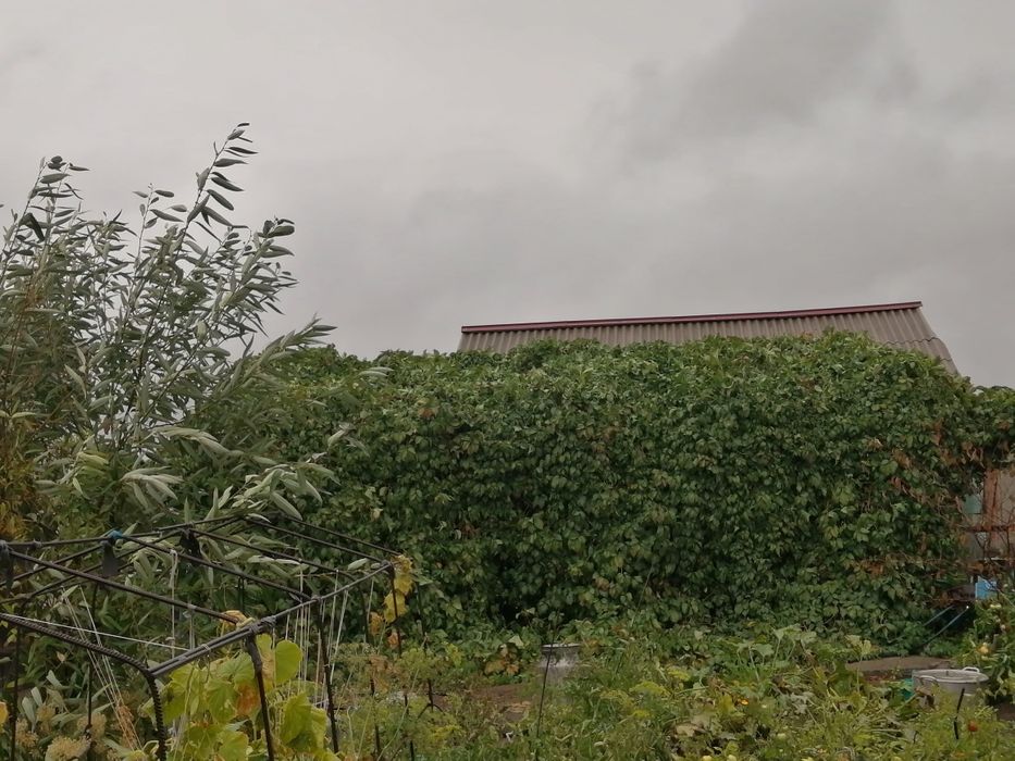 Продается Дом в 20 км. от Астаны. СРОЧНО!!!