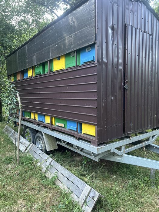 Vand remorca apicola