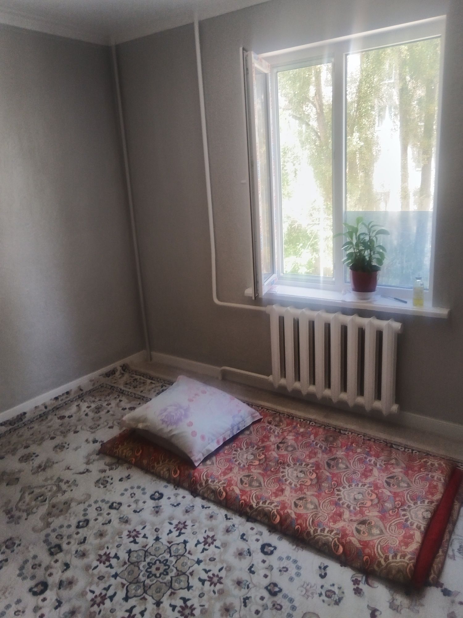 Комната в общежитие