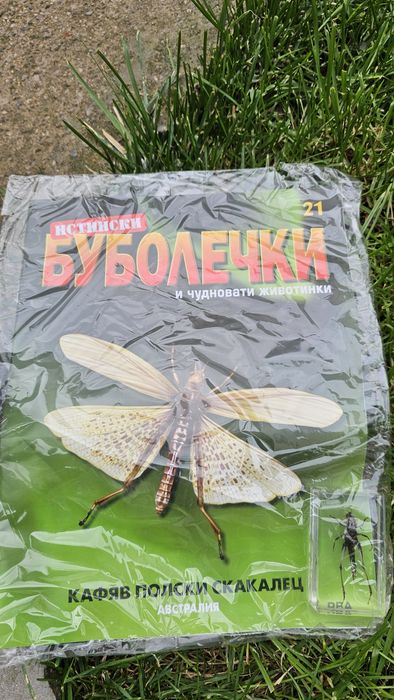 Истинските Буболечки