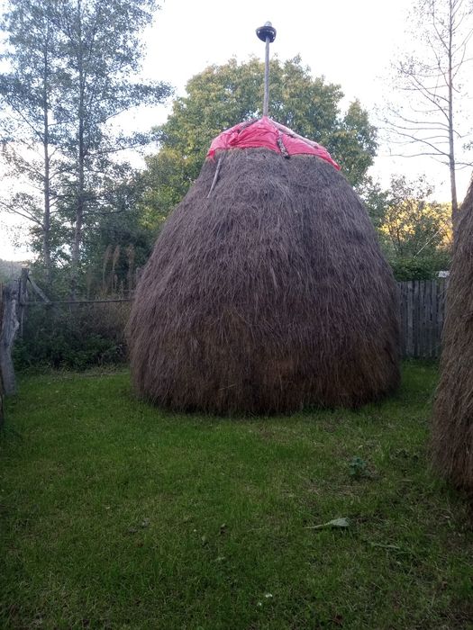 Vand vând trei cali cu fan