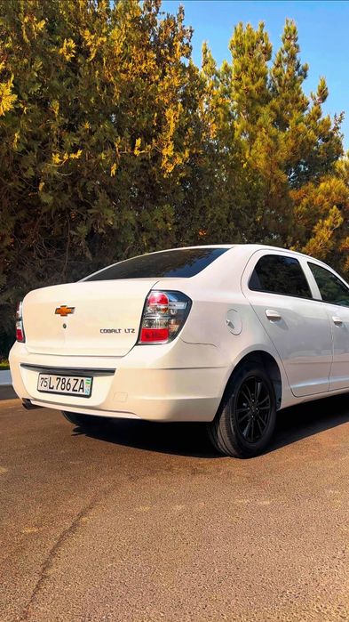 Cobalt Midnight 2025 !